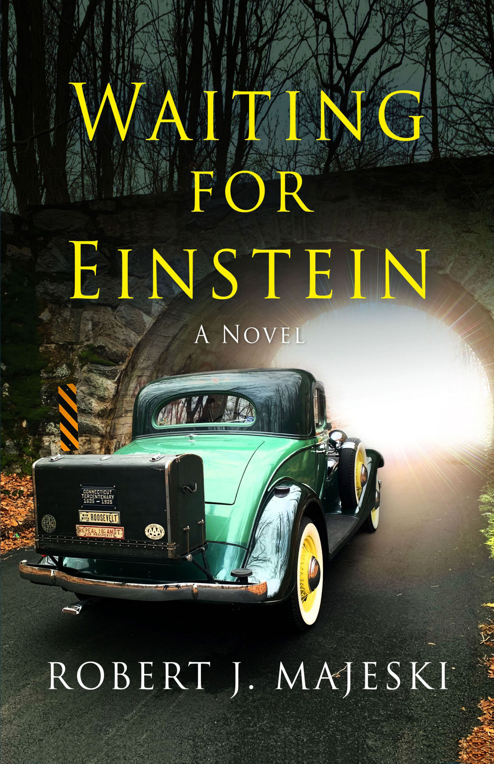 Waiting For Einstein-image