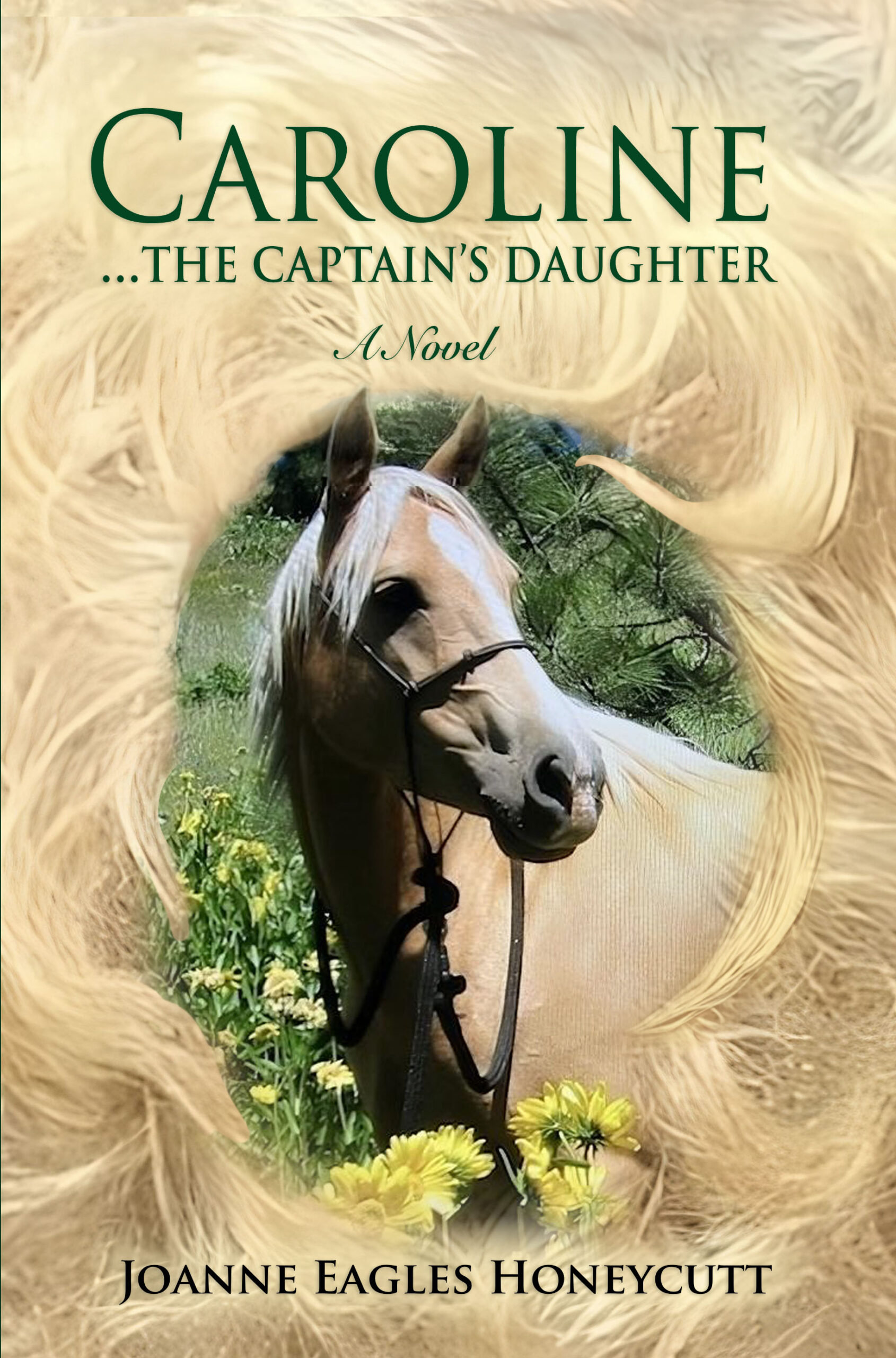 Caroline...The Captain's Daughter-image