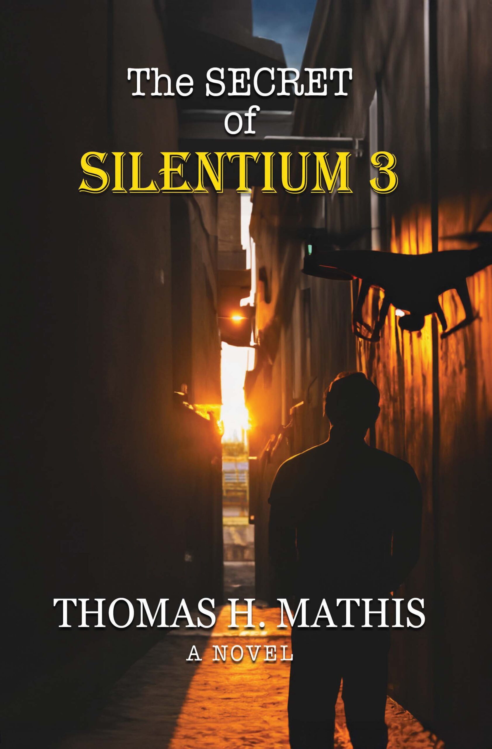 The Secret of Silentium 3-image